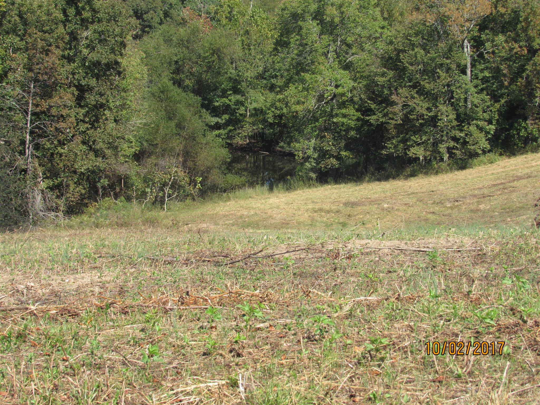 0 Enterprise Road Mount Pleasant, TN 38474 - Photo 19 of 21 Gallery Image 19