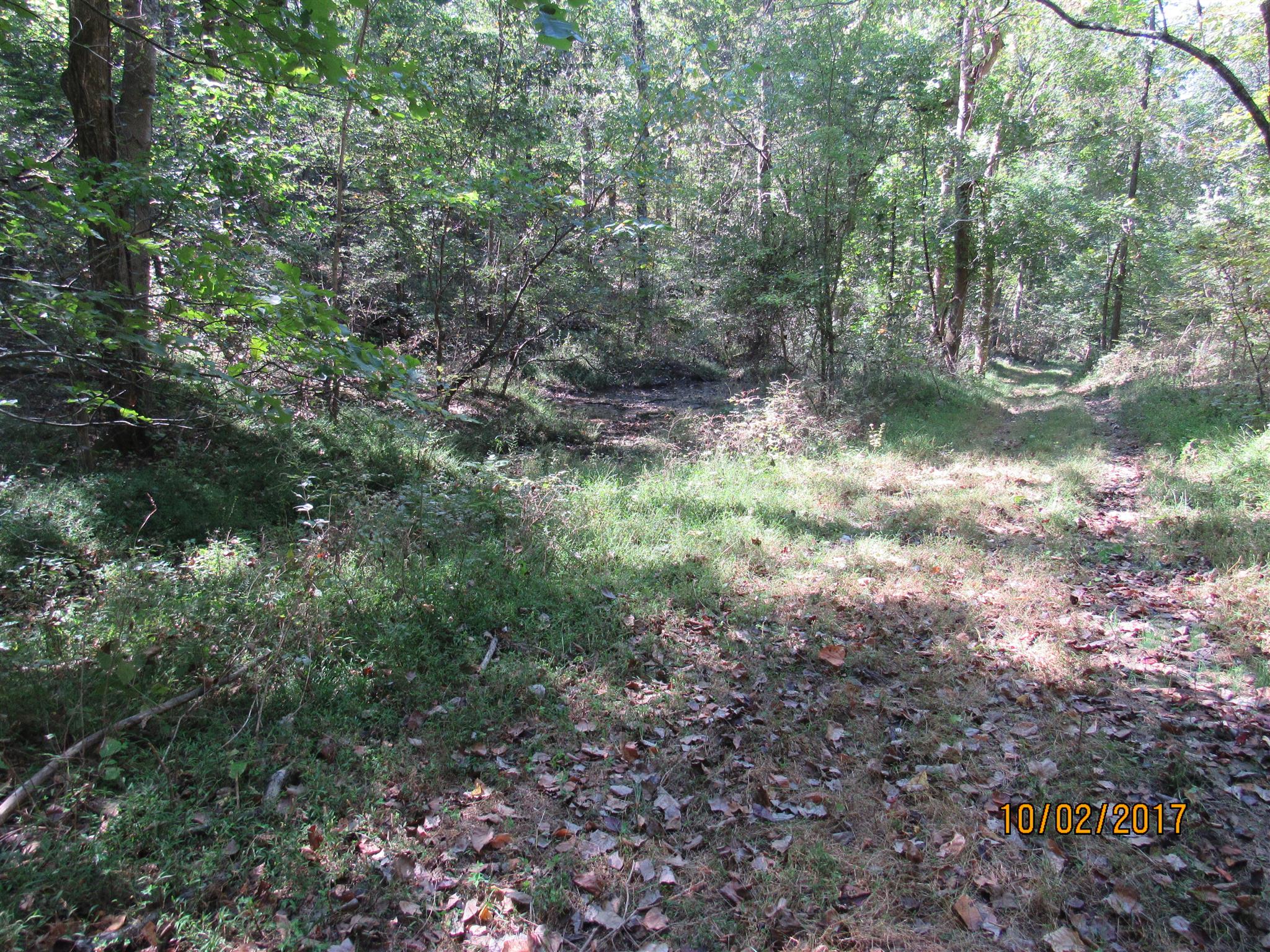 0 Enterprise Road Mount Pleasant, TN 38474 - Photo 20 of 21 Gallery Image 20