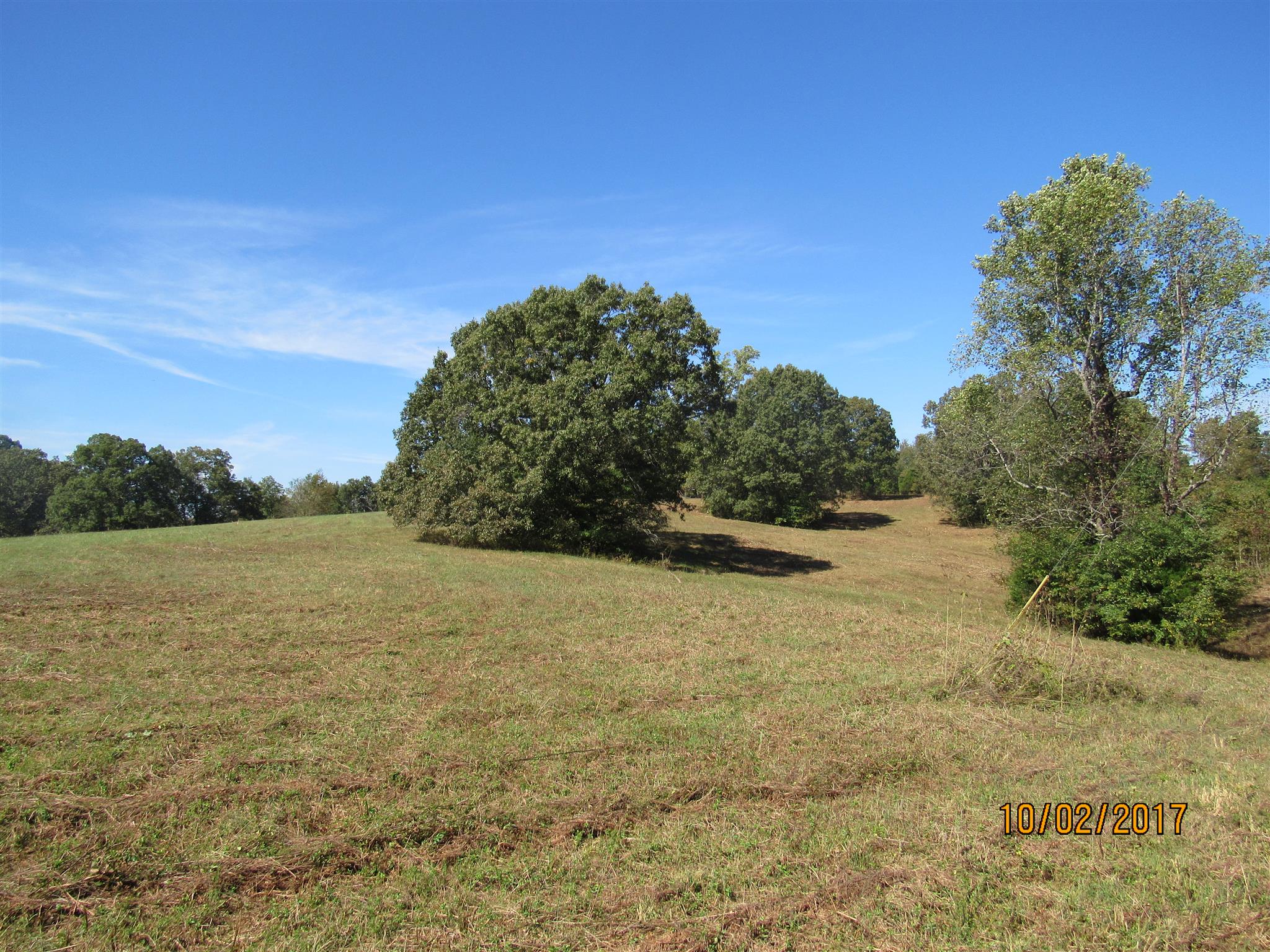 0 Enterprise Road Mount Pleasant, TN 38474 - Photo 3 of 21 Gallery Image 3
