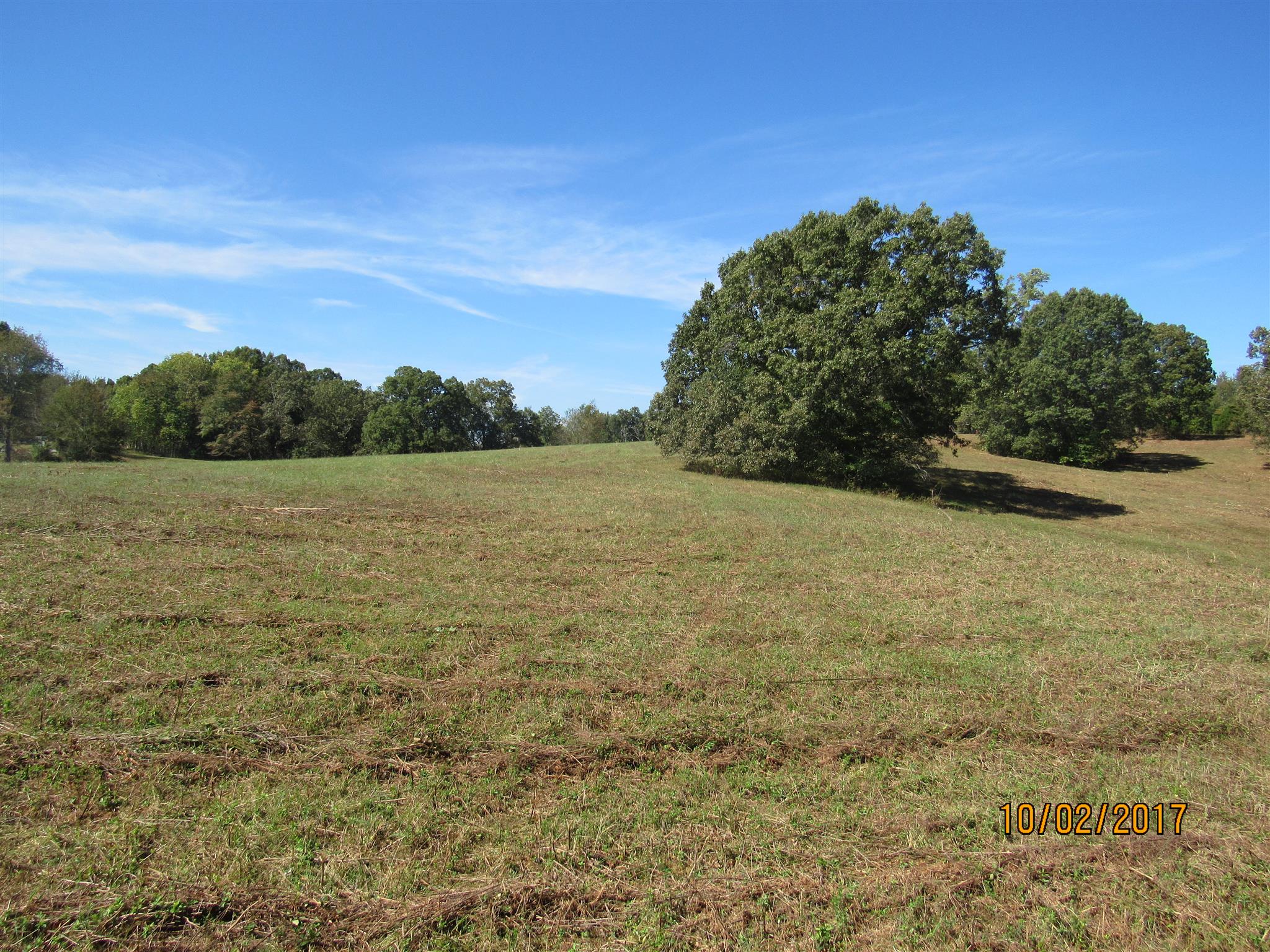 0 Enterprise Road Mount Pleasant, TN 38474 - Photo 4 of 21 Gallery Image 4