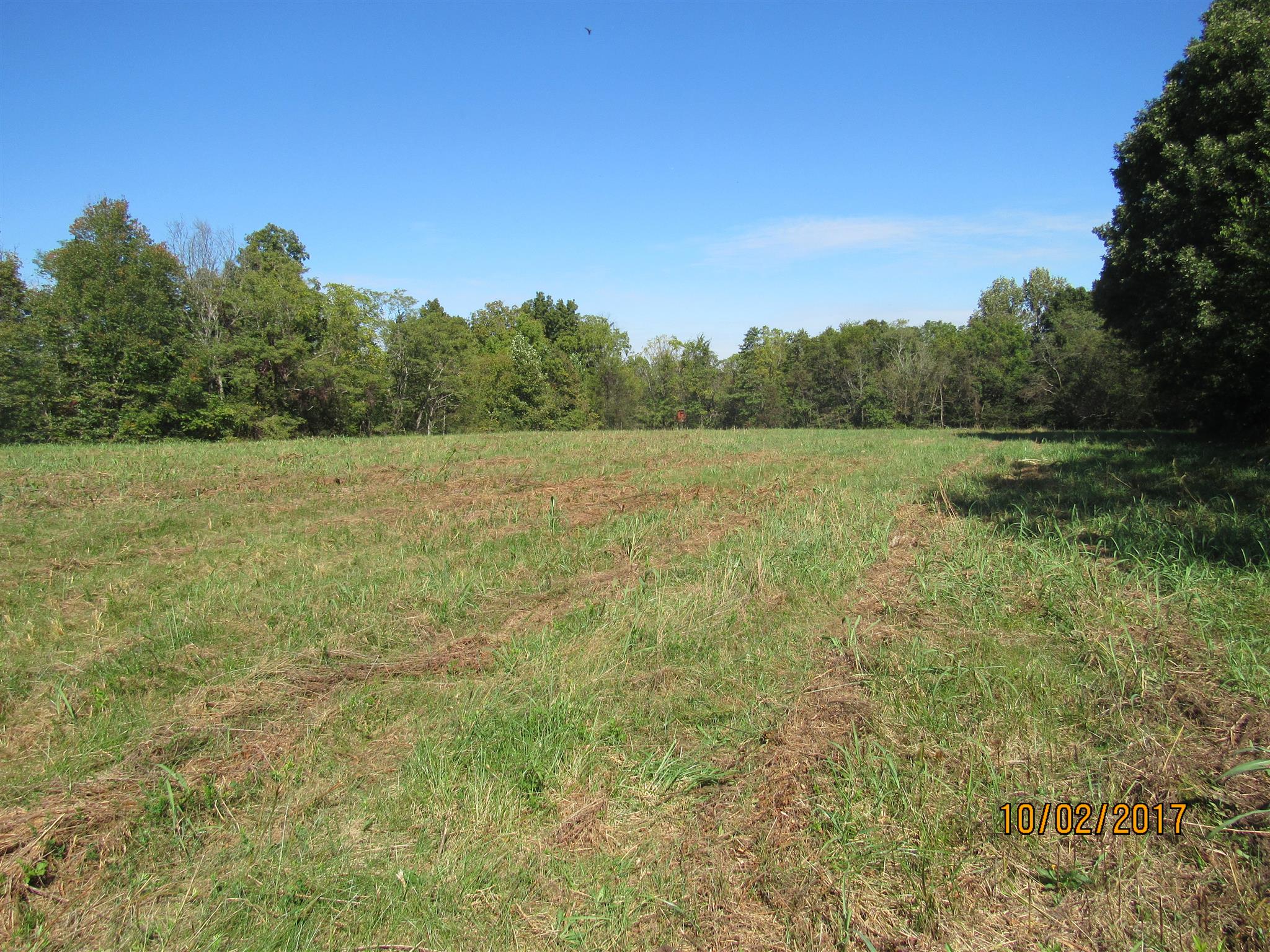 0 Enterprise Road Mount Pleasant, TN 38474 - Photo 5 of 21 Gallery Image 5