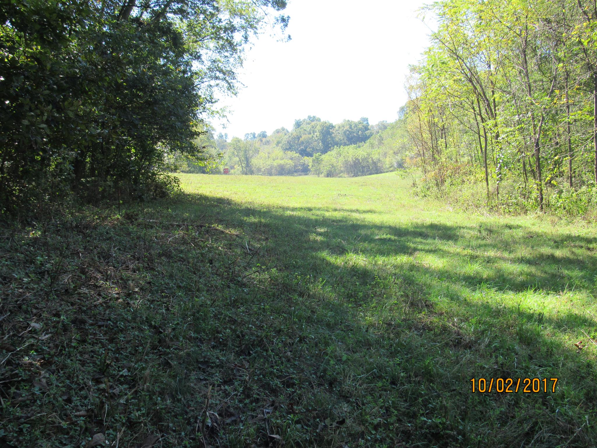 0 Enterprise Road Mount Pleasant, TN 38474 - Photo 7 of 21 Gallery Image 7