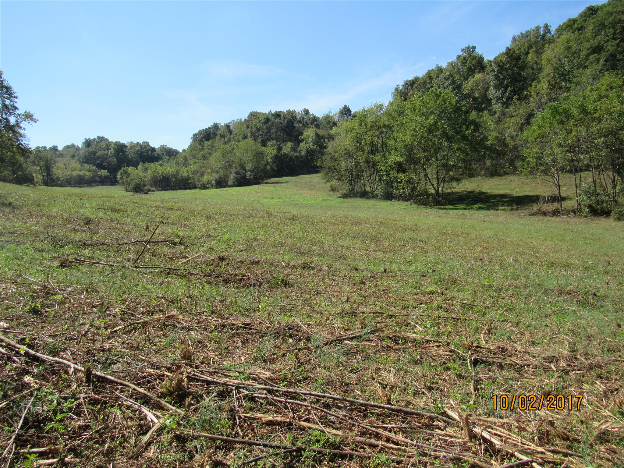 0 Enterprise Road Mount Pleasant, TN 38474 - Photo 9 of 21 Gallery Image 9