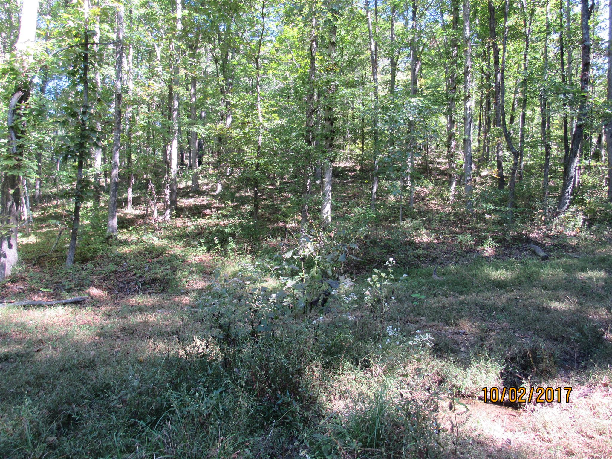 0 Enterprise Road Mount Pleasant, TN 38474 - Photo 10 of 21 Gallery Image 10