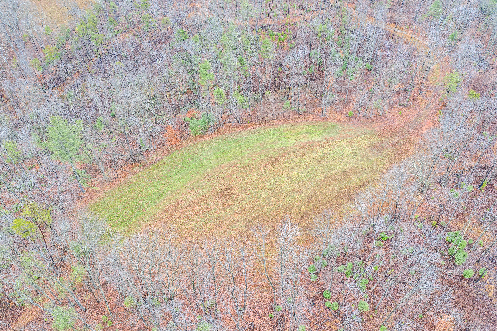 1100 Knob Church Road Henry, VA 24102 - Photo 21 of 40 16 Property