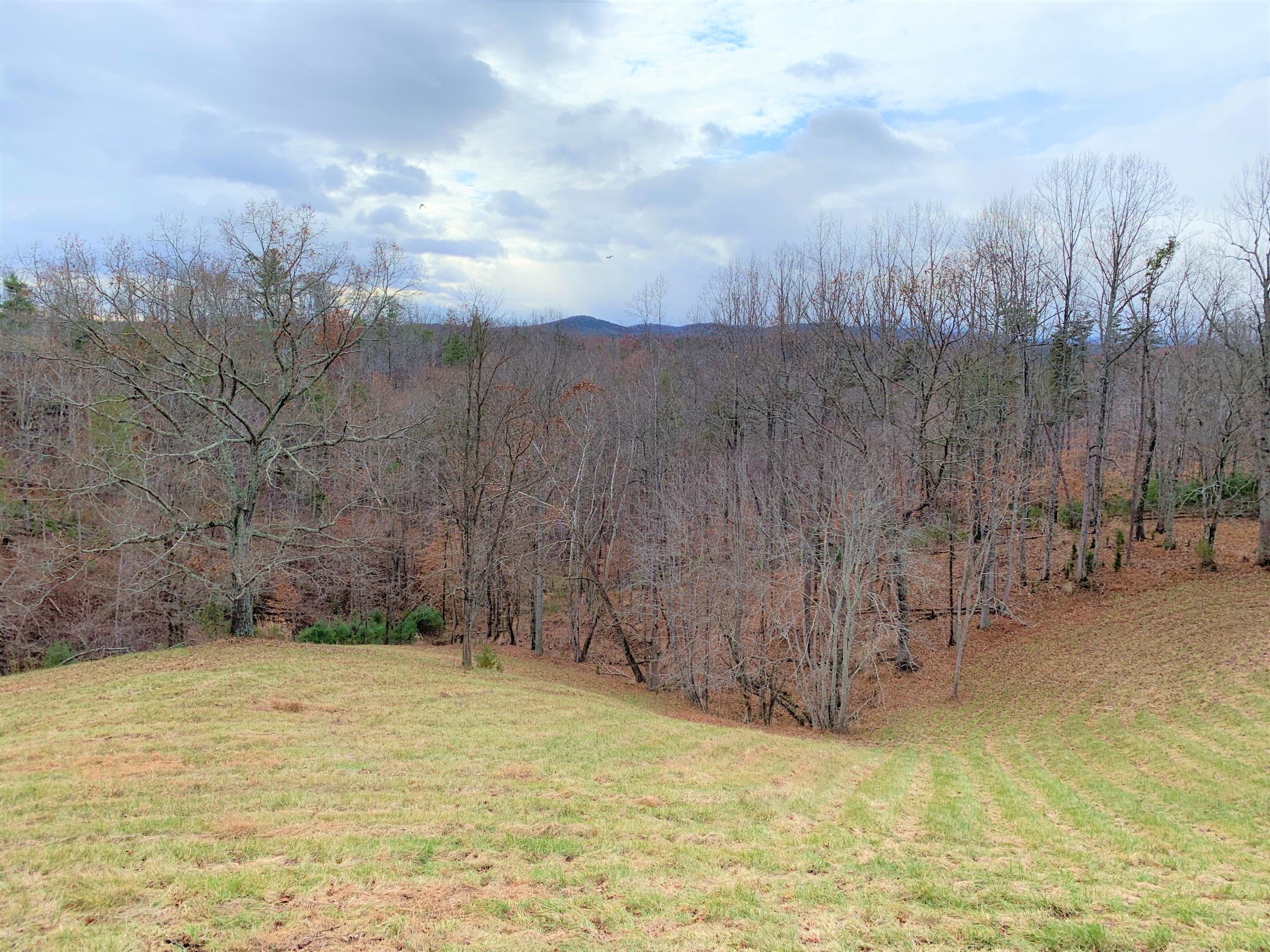 1100 Knob Church Road Henry, VA 24102 - Photo 38 of 40 30 Property