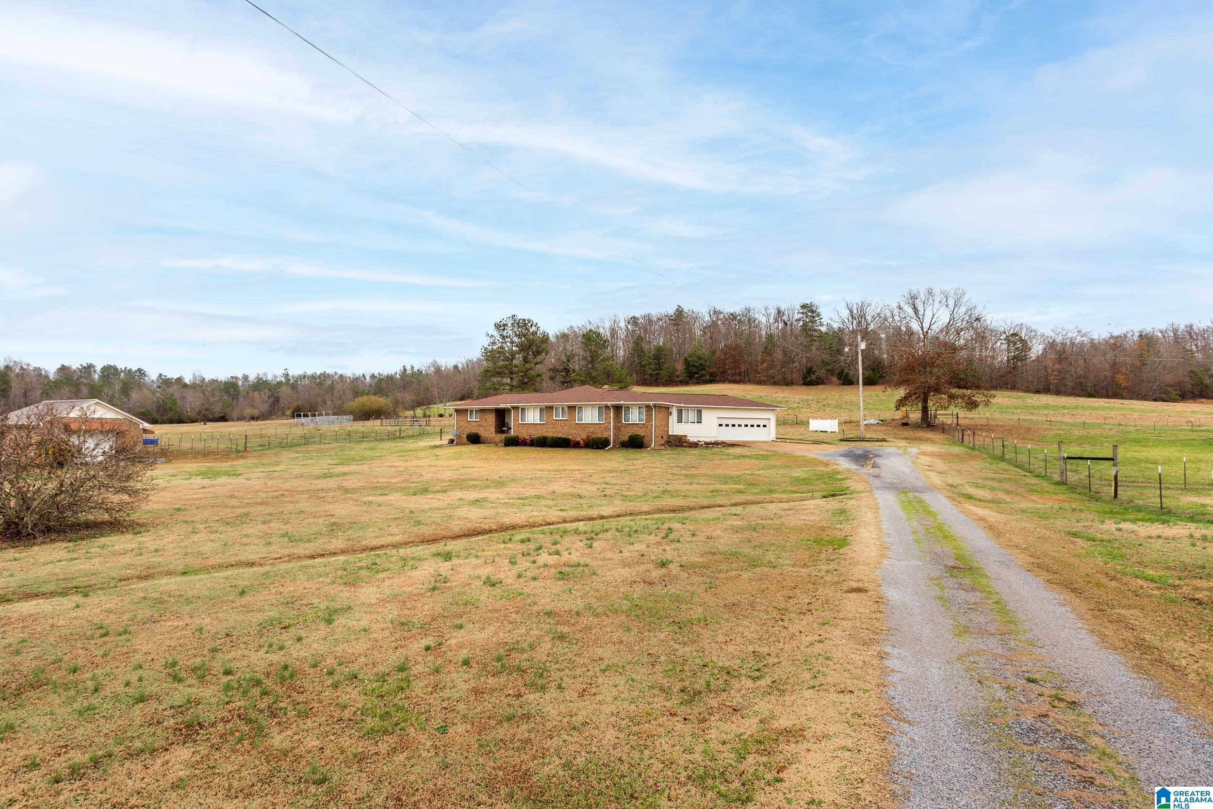 868 Old Field Road Jacksonville, AL 36265 - Photo 4 of 39