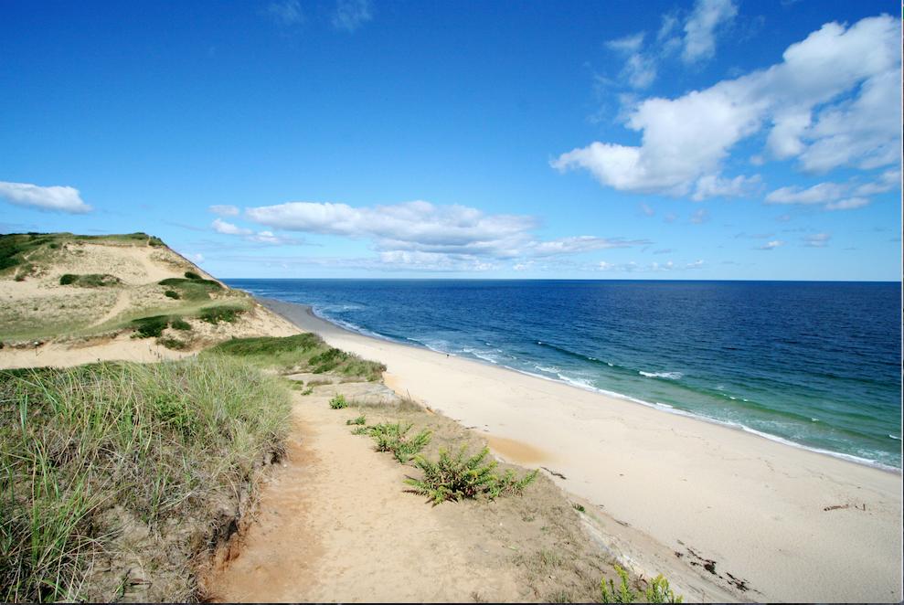 20 Maurice Road Eastham, MA 02642 - Photo 32 of 32 National Seashore Beaches