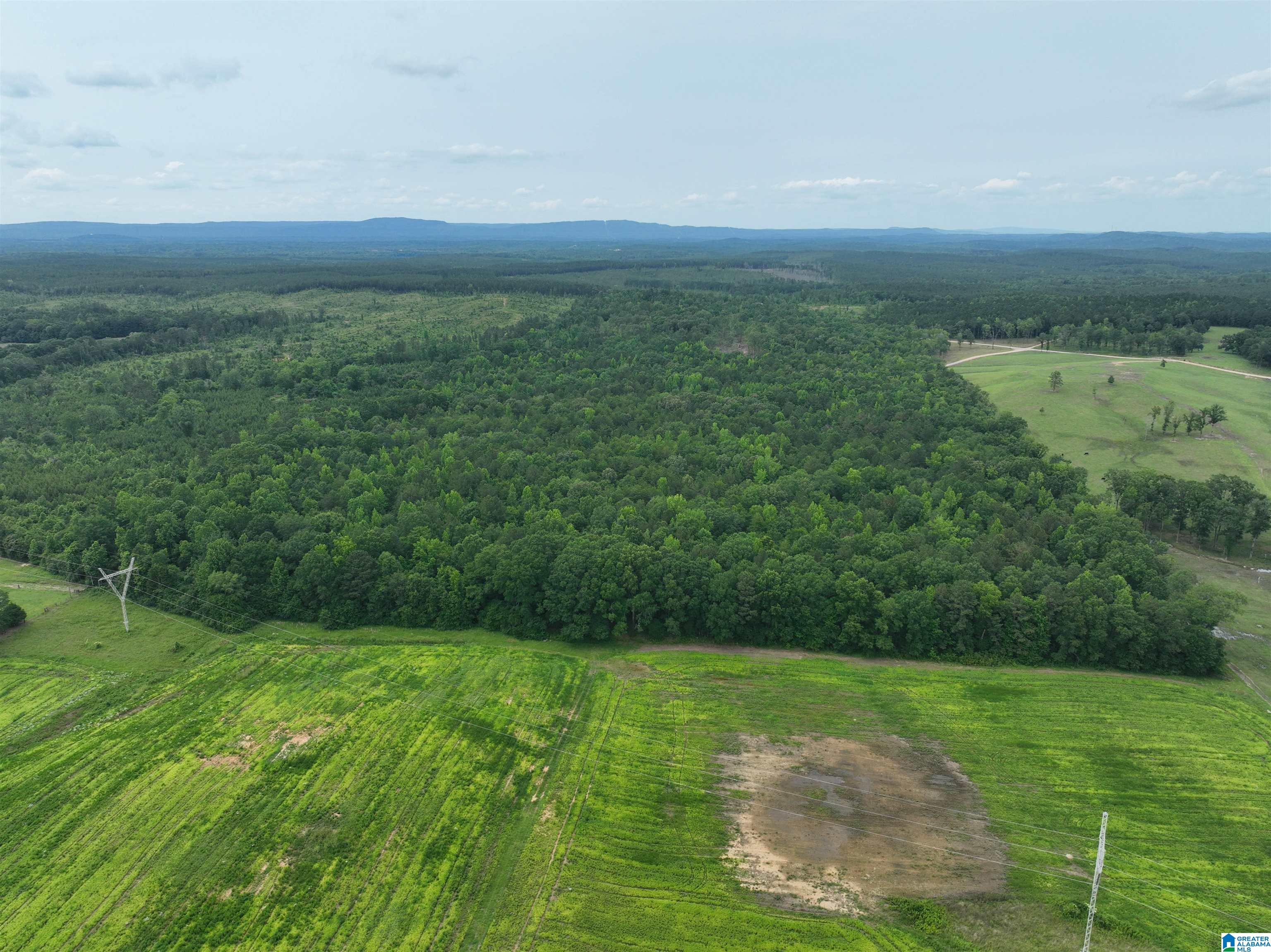 Jackson Farm Road Wilsonville, AL 35186 - Photo 1 of 13 Gallery Image 1
