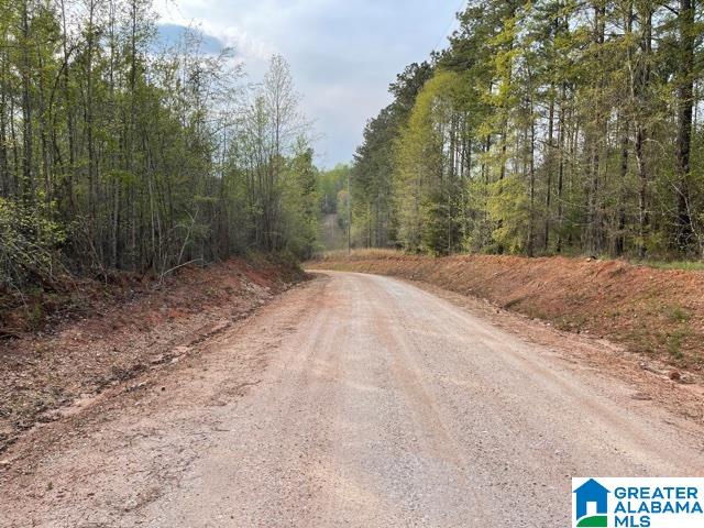 78 County Road, Unit 50 Waverly, AL 36879 - Photo 4 of 4 Gallery Image 4