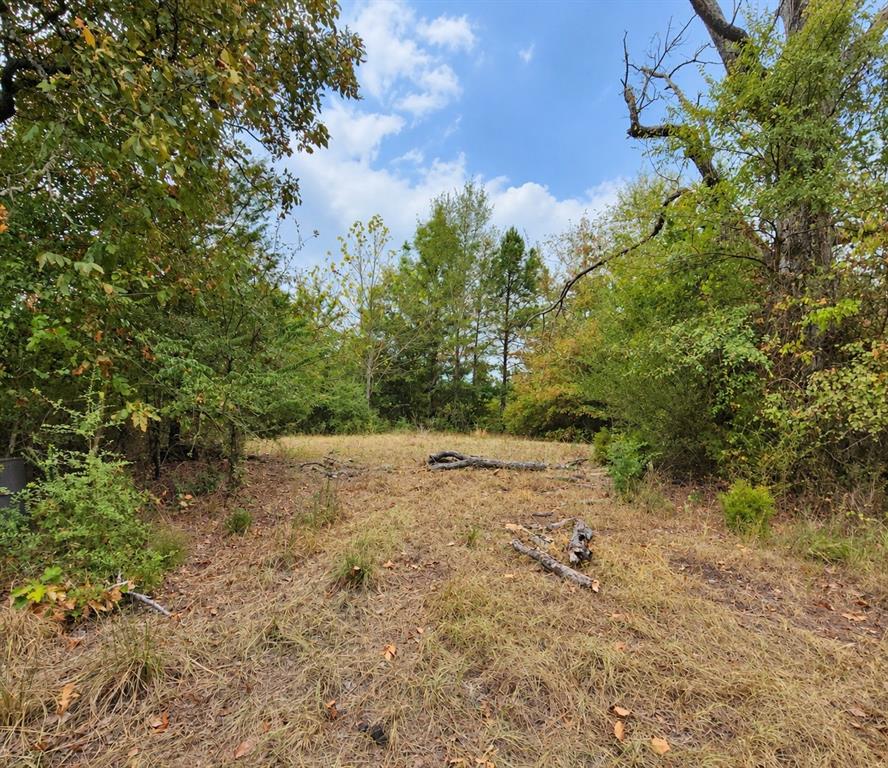 0 Ferguson Road Harleton, TX 75651 - Photo 2 of 5 Cleared central area surrounded by mature trees