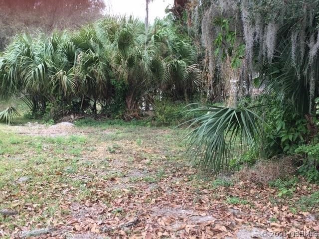 167 Azalea Road Edgewater, FL 32141 - Photo 1 of 3 Gallery Image 1