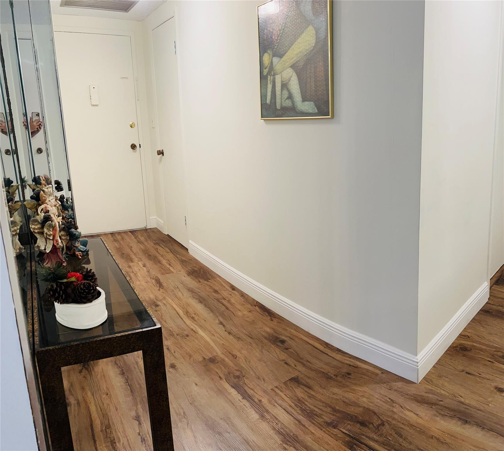 800 Northeast 195th Street, Unit 307 Miami, FL 33179 - Photo 9 of 63 a view of a hallway with wooden floor and a potted plant