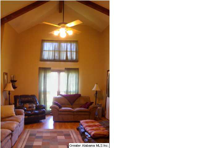 4967 Mcelderry Road Munford, AL 36268 - Photo 5 of 12