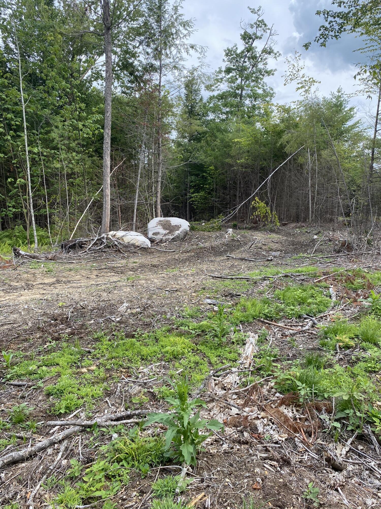17 South Tamworth Road Otisfield, ME 04270 - Photo 2 of 7 image_6487327 (4)