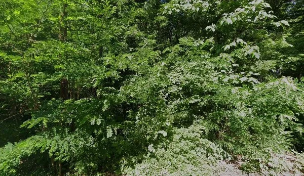 $15,000 | 1740 West Dodd Road, Memphis, TN 38109