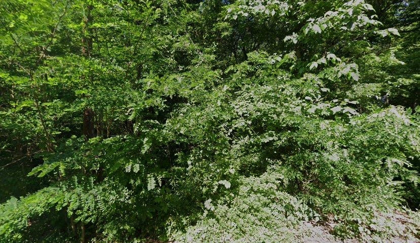 1740 West Dodd Road Memphis, TN 38109 - Photo 1 of 1