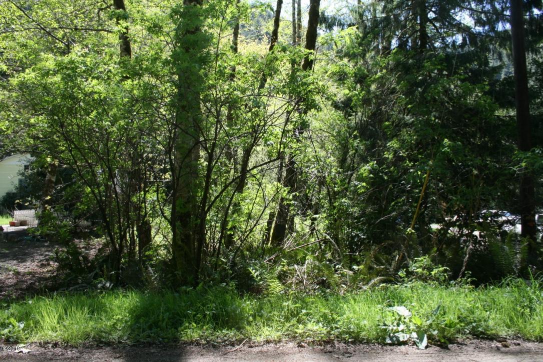 2600 North New Bridge Road Otis, OR 97368 - Photo 3 of 6 A Little Clearing and BAM!