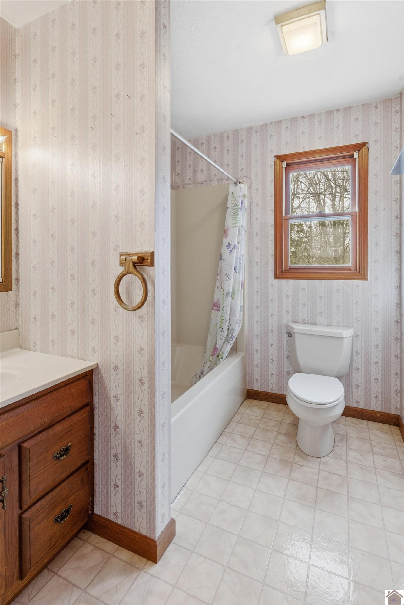 915 Jake Dukes Road Grand Rivers, KY 42045 - Photo 24 of 49 Hall Bathroom