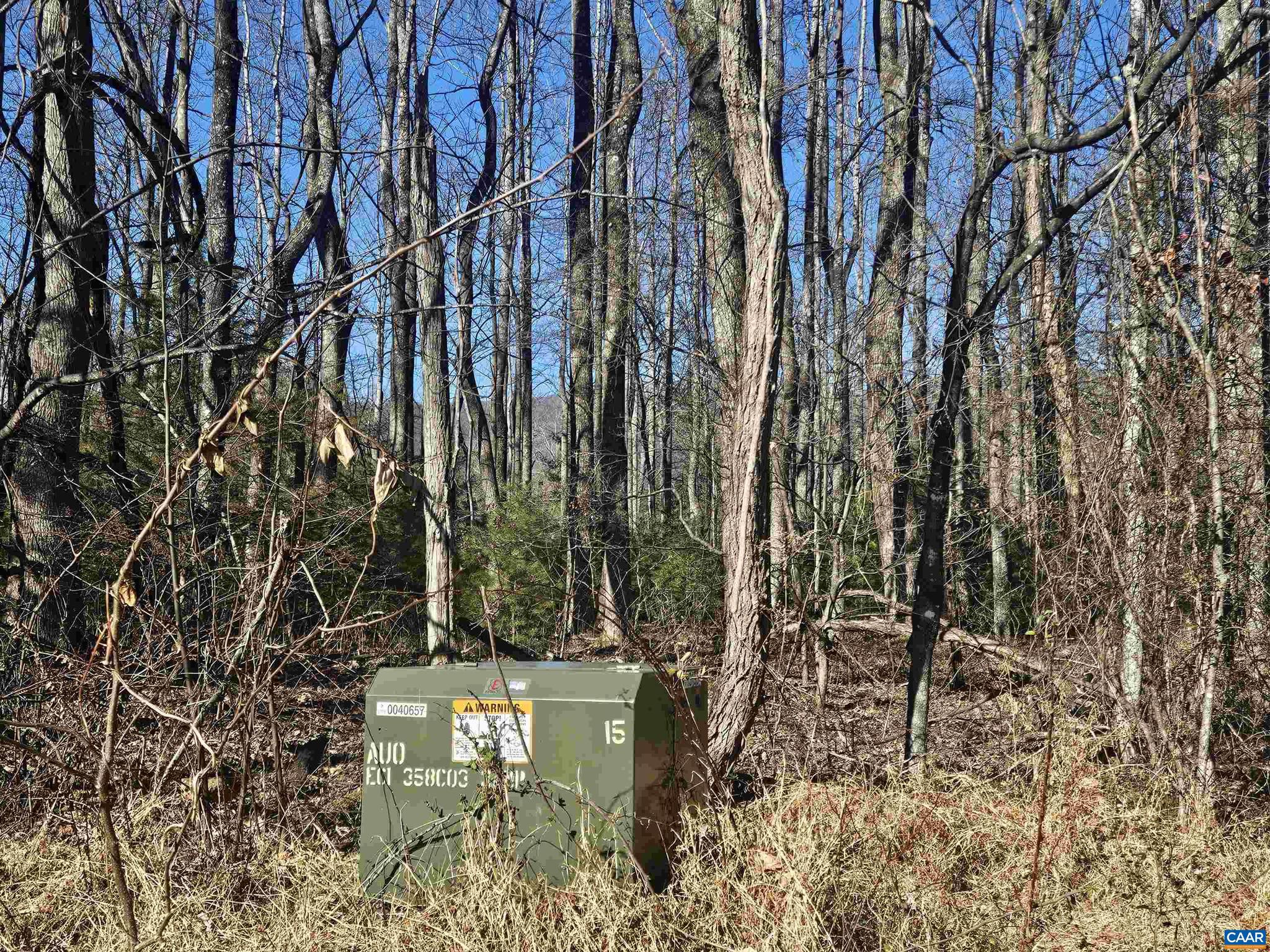 Tbd Lot 56 G Tbd Road, Unit 56G Stanardsville, VA 22973 - Photo 6 of 8