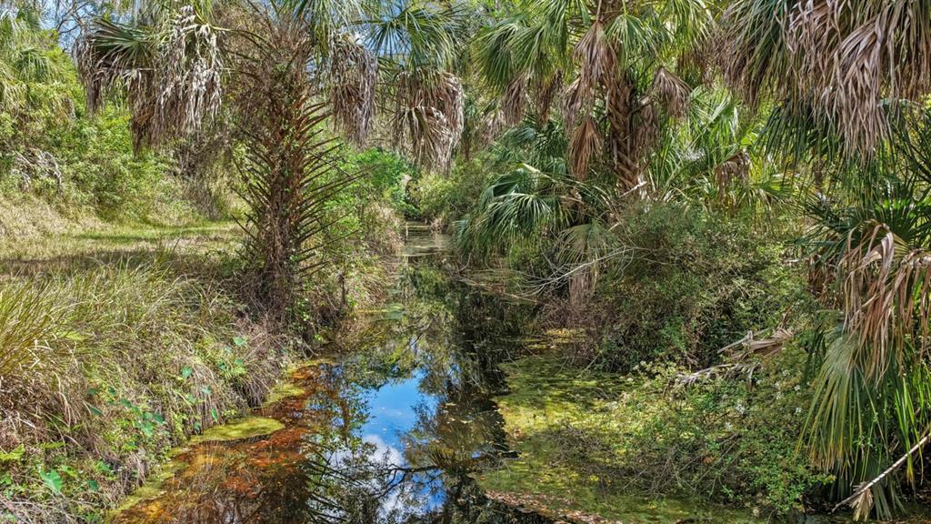 3106 Timberlee Road Wimauma, FL 33598 - Photo 40 of 50