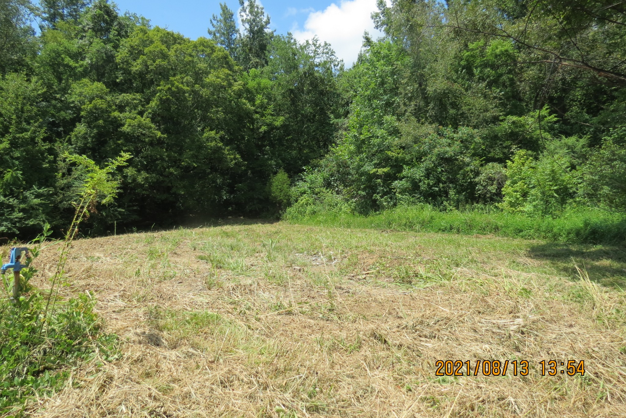 75 Hurricane Church Road Stewart, TN 37175 - Photo 3 of 9 Gallery Image 3