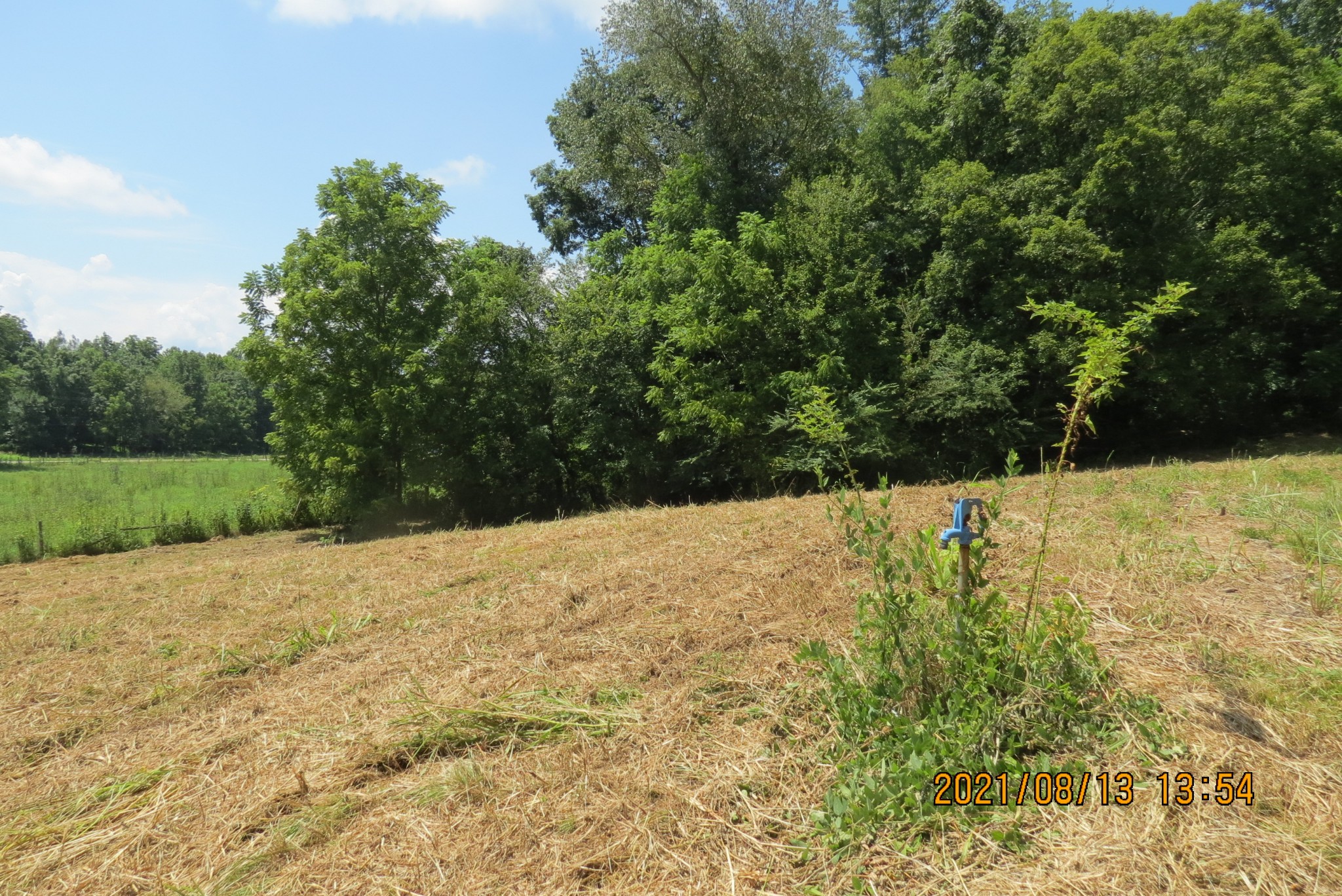75 Hurricane Church Road Stewart, TN 37175 - Photo 4 of 9 Gallery Image 4