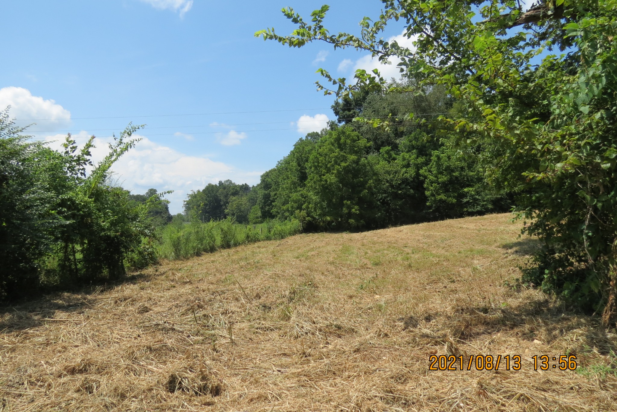 75 Hurricane Church Road Stewart, TN 37175 - Photo 8 of 9 Gallery Image 8