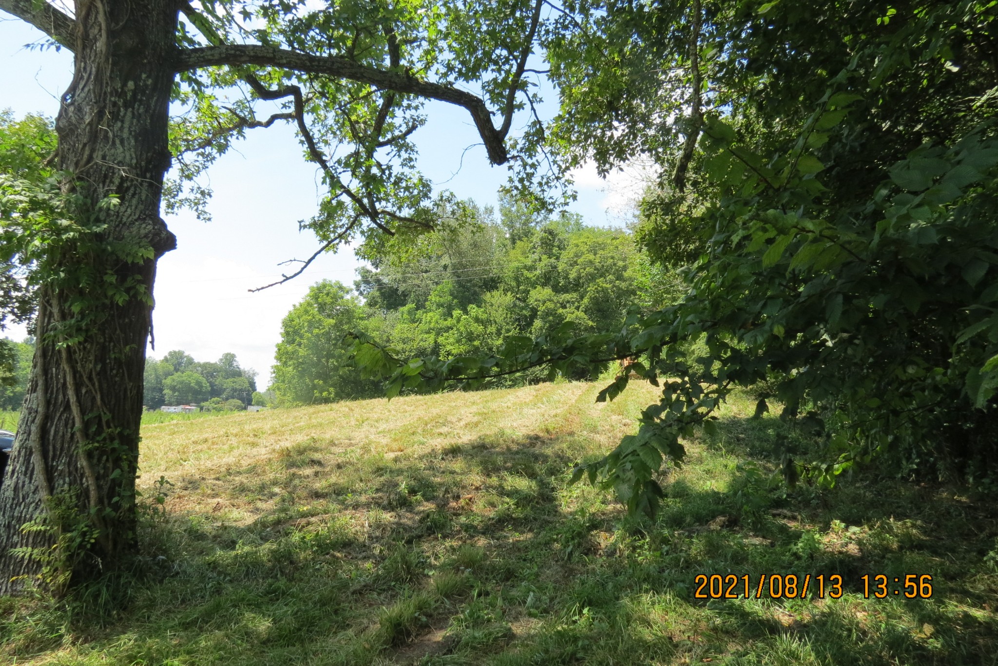 75 Hurricane Church Road Stewart, TN 37175 - Photo 9 of 9 Gallery Image 9