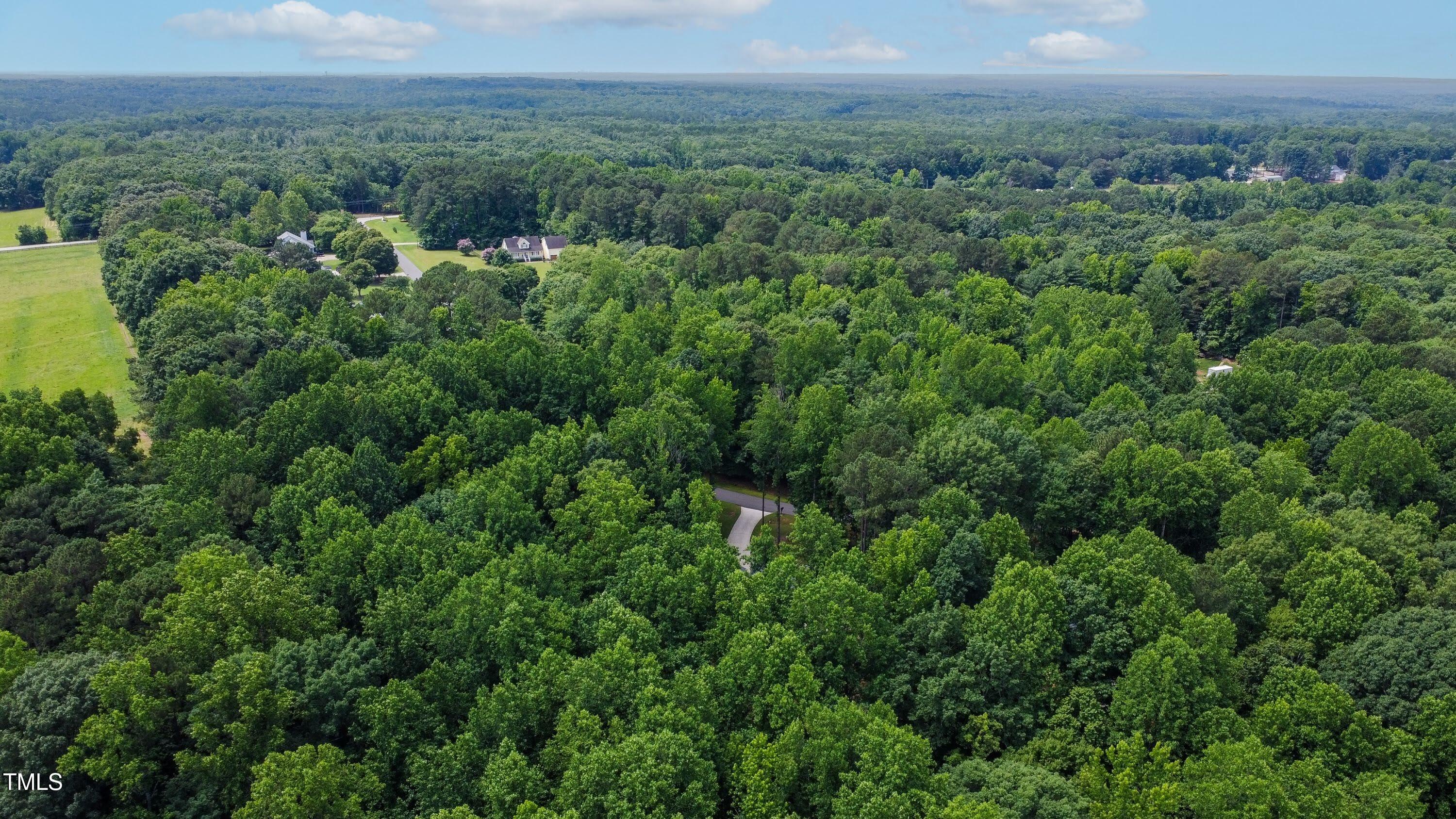 1006 Oxford Rdg Road Wake Forest, NC 27587 - Photo 54 of 60 Drone 1
