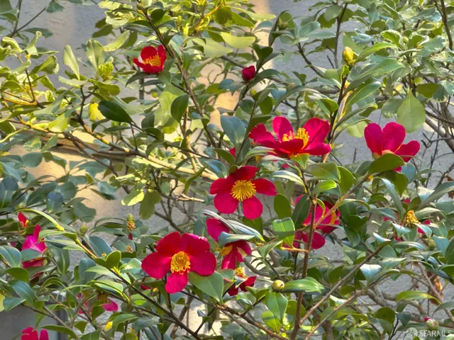 $360,000 | 7224 Shelter Creek Lane, San Bruno, CA 94066