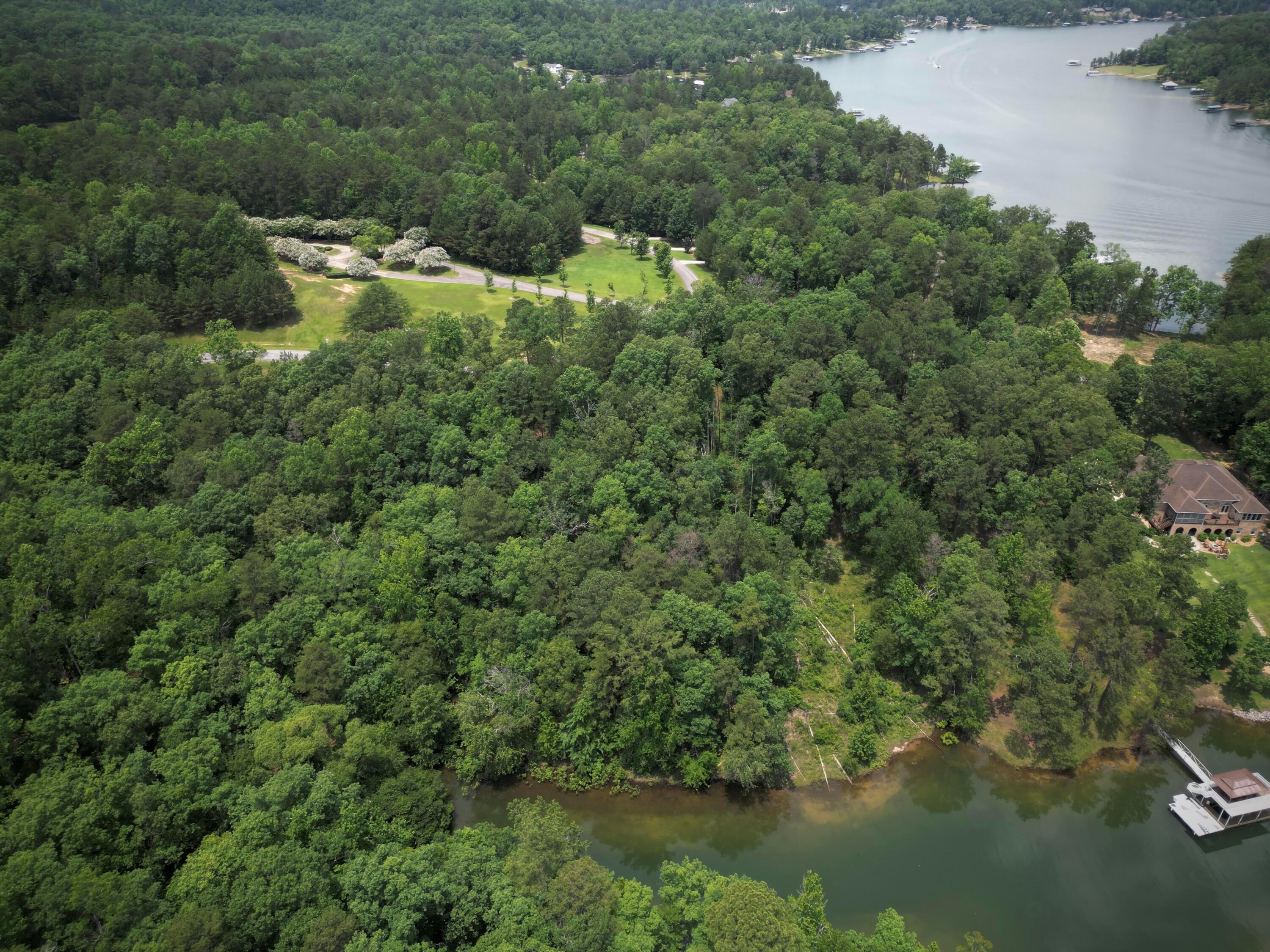 Lot 31 Stoney Point Road Double Springs, AL 35553 - Photo 10 of 22 image22