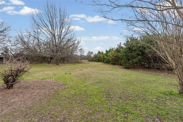 a view of a yard with an ocean