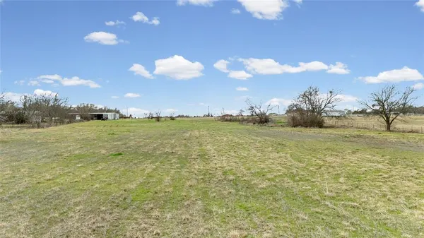 a view of a field with a tree in the background