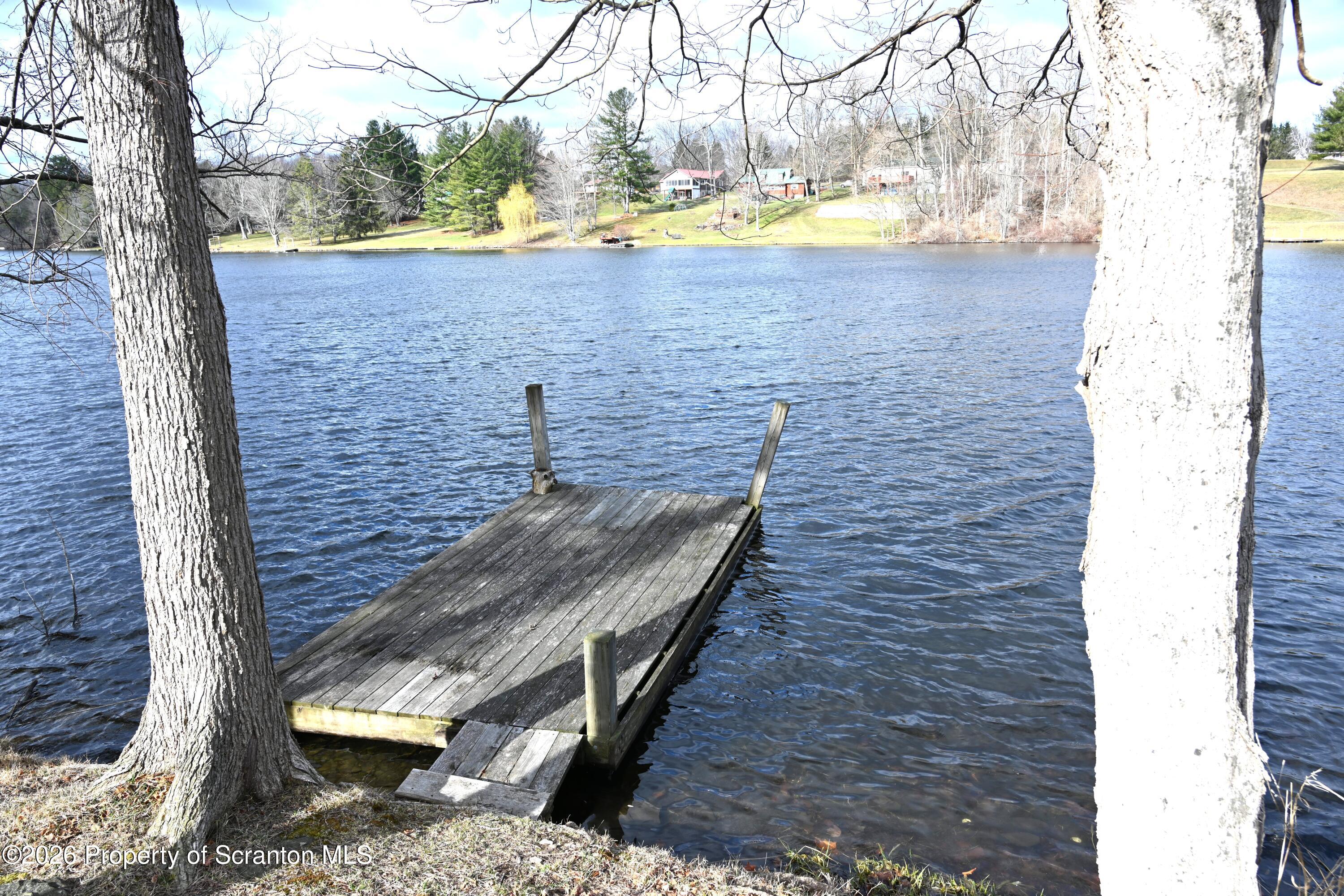 1143 Highway 29 Springville, PA 18844 - Photo 2 of 44 a view of outdoor space and yard