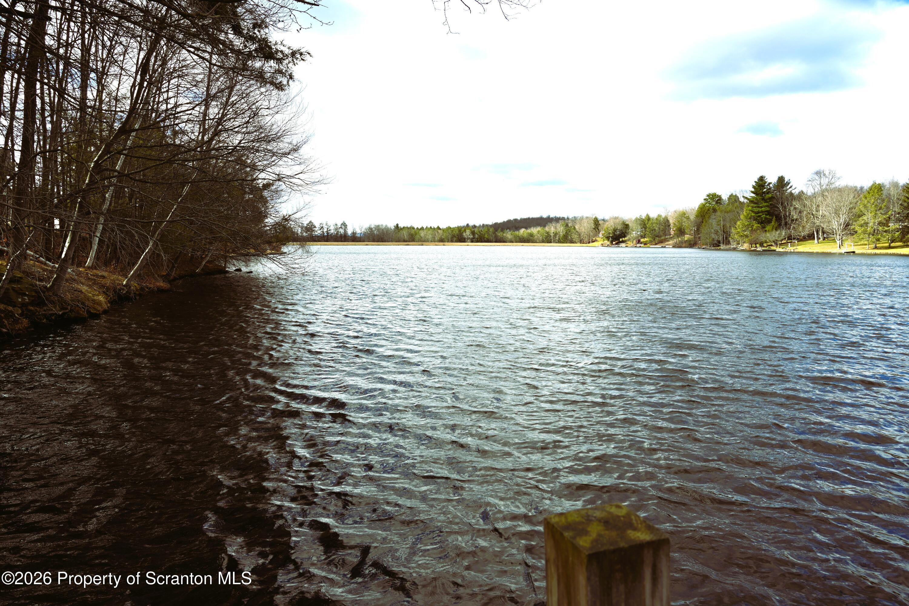 1143 Highway 29 Springville, PA 18844 - Photo 40 of 44 a view of lake