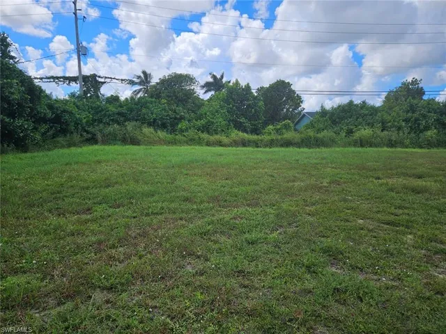 a view of a field of grass and trees