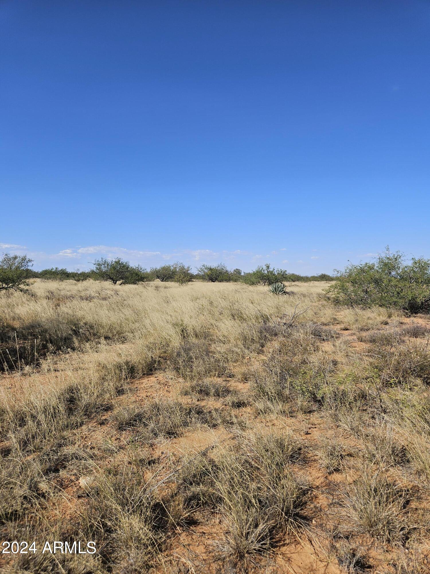 7.27 East Three Canyons Road, Unit G Hereford, AZ 85615 - Photo 9 of 12 20241001_150016