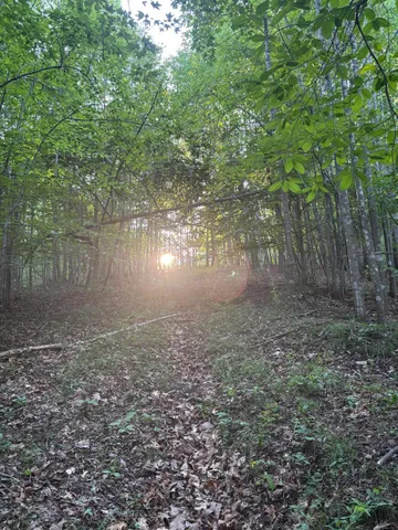 $49,650 | 0 Lookout Mountain Road, Martinsville, VA 24112