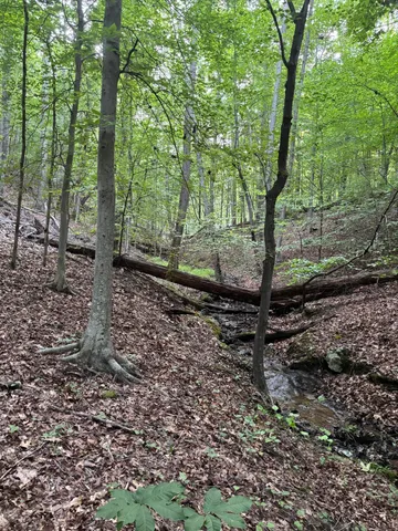 $49,650 | 0 Lookout Mountain Road, Martinsville, VA 24112