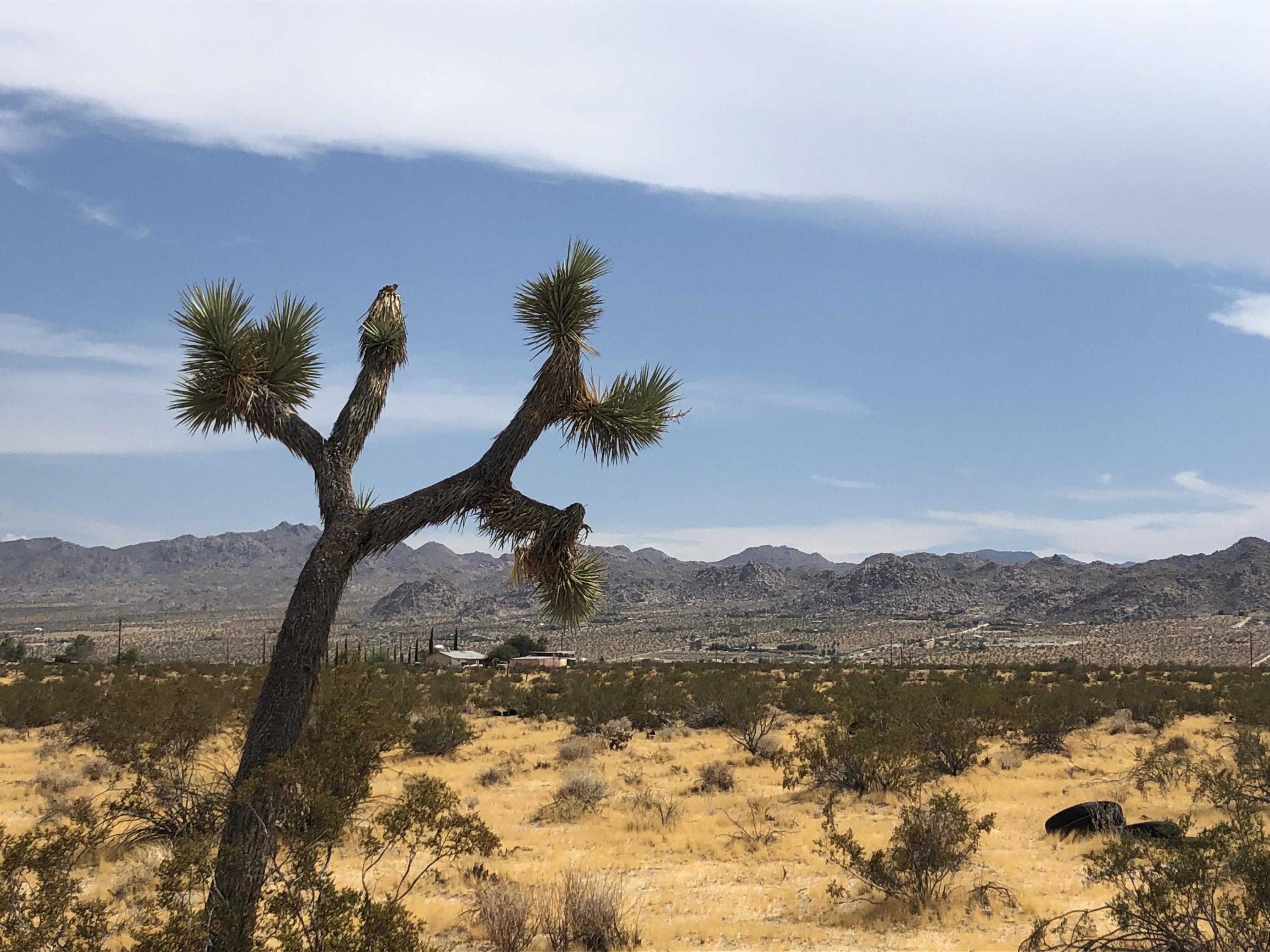 604 Gold Nugget Road Joshua Tree, CA 92252 - Photo 1 of 26 IMG_7955