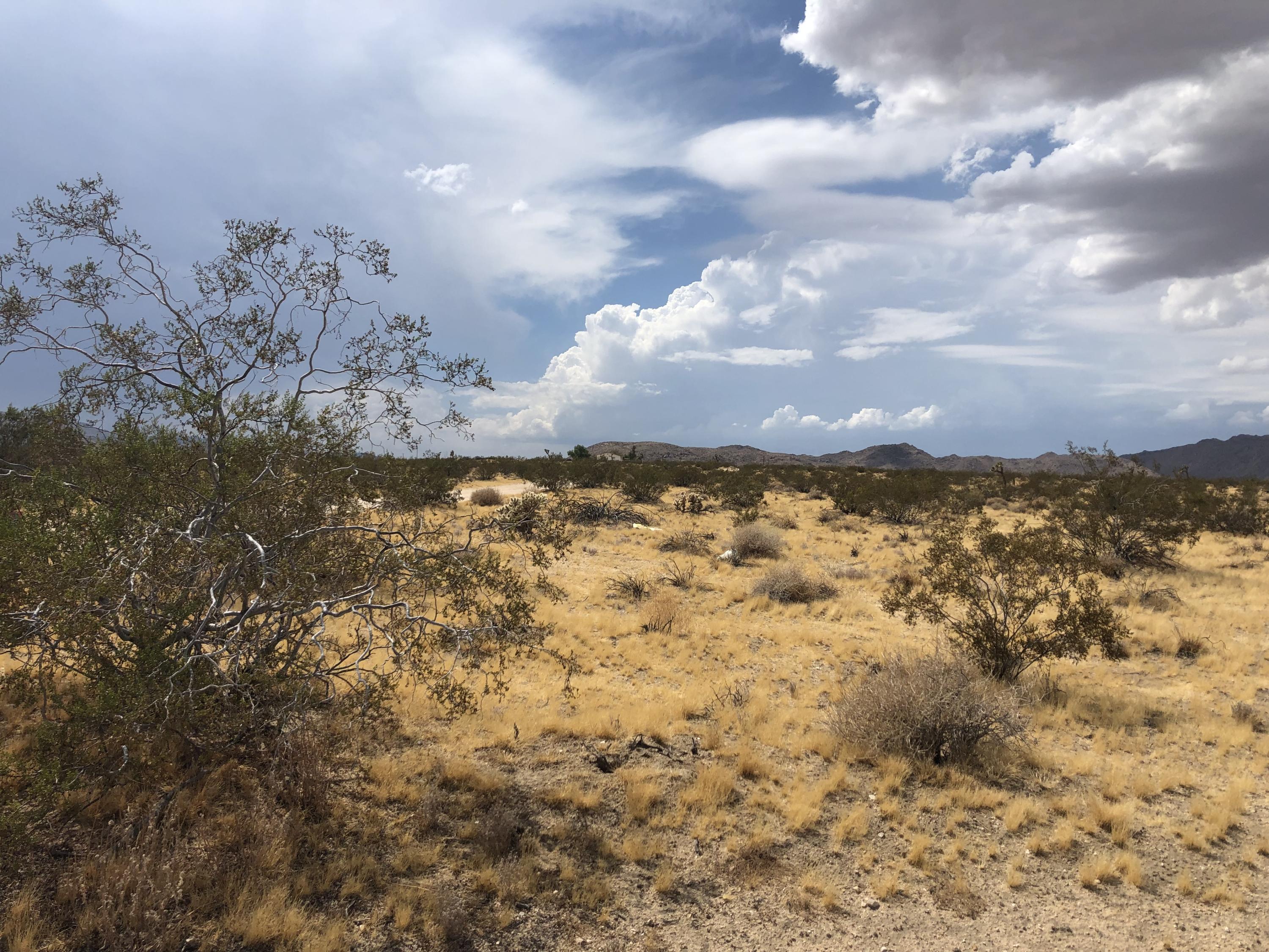 604 Gold Nugget Road Joshua Tree, CA 92252 - Photo 12 of 26 IMG_7937