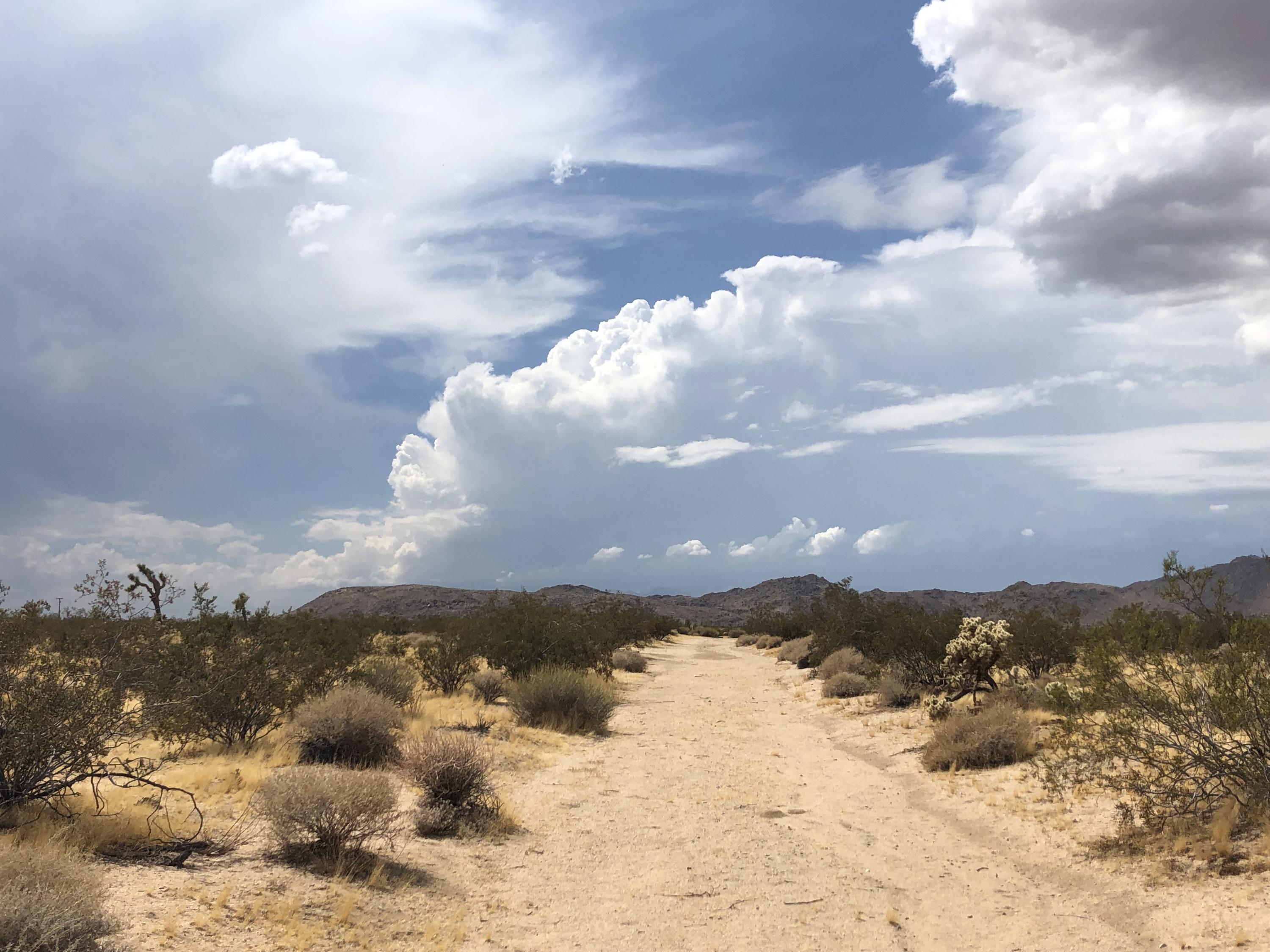 604 Gold Nugget Road Joshua Tree, CA 92252 - Photo 18 of 26 IMG_7951