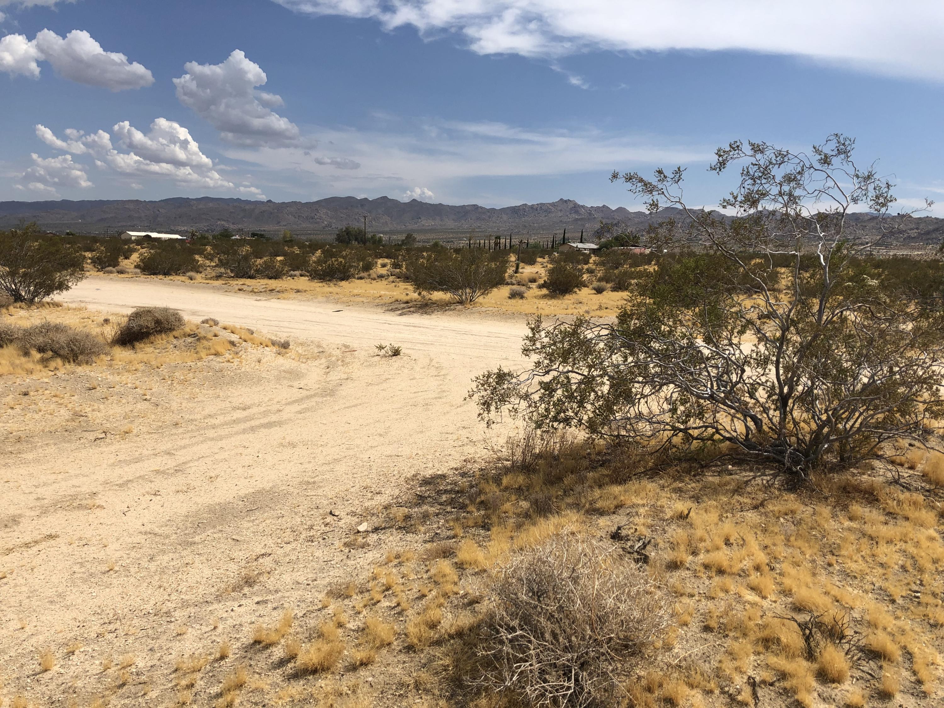 604 Gold Nugget Road Joshua Tree, CA 92252 - Photo 10 of 26 IMG_7934
