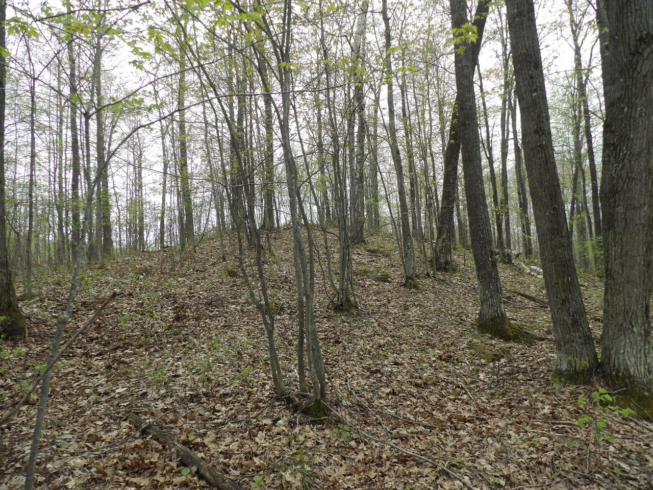 Lot 64 Pine Grove Drive Rhinelander, WI 54501 - Photo 4 of 13 Gallery Image 4