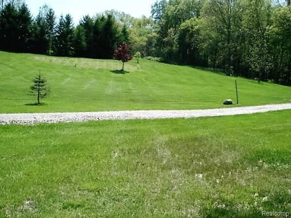 5375 Bullard Road Fenton, MI 48430 - Photo 12 of 43 Backyard