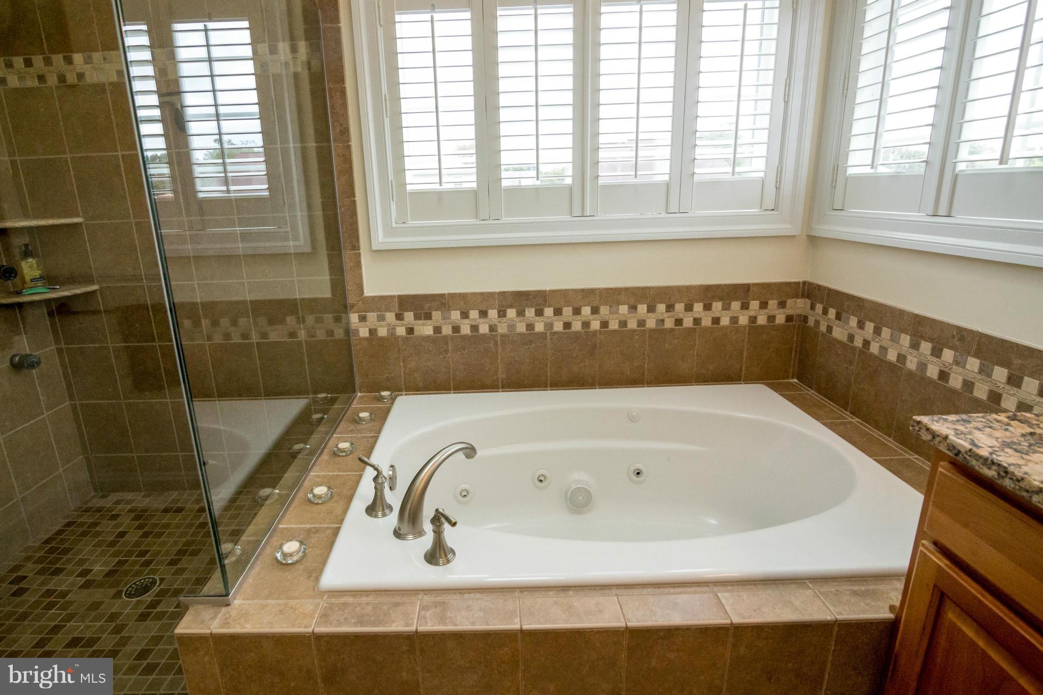 163 Roland Road Pasadena, MD 21122 - Photo 12 of 30 Master Bath