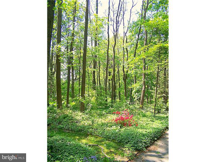 96 Summit Road Malvern, PA 19355 - Photo 22 of 25 Front Yard