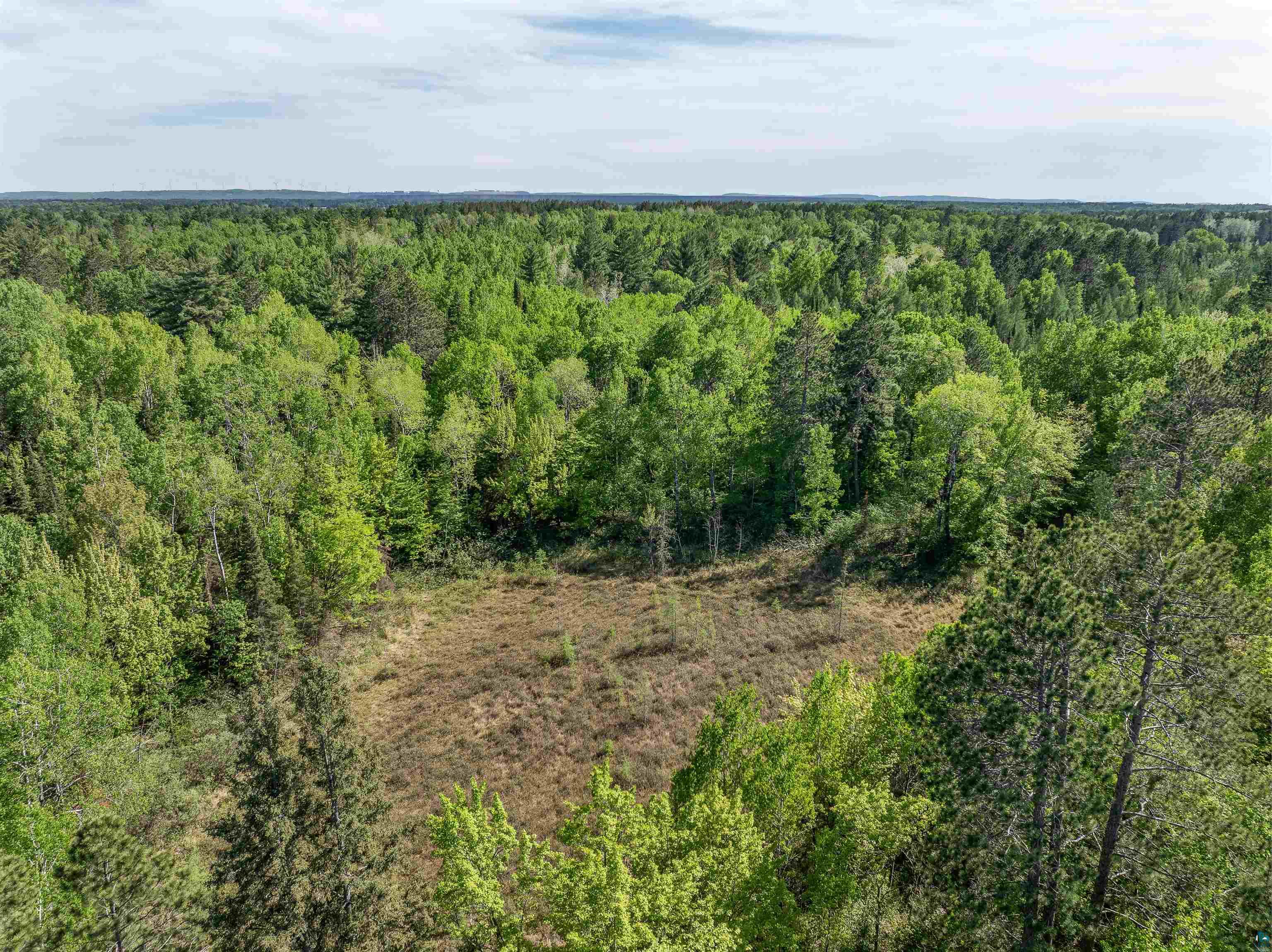 9064 Peppard Road Britt, MN 55710 - Photo 37 of 40 Expansive wooded landscape featuring mature trees and a clearing