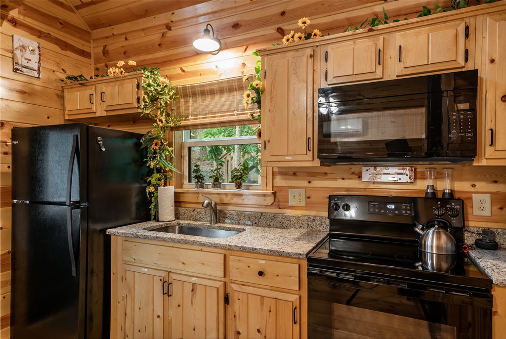 151 Rushmore Lane Murphy, NC 28906 - Photo 15 of 26